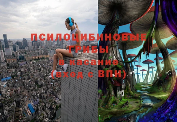 2c-b Михайловск