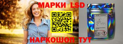 apvp Бийск