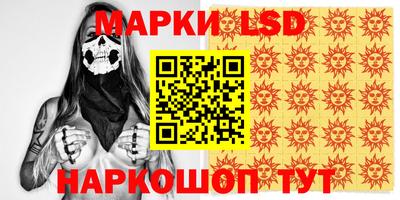 apvp Бийск