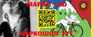 apvp Бийск