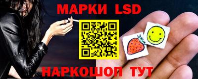 apvp Бийск