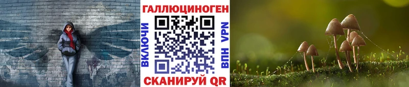 как найти закладки  Дзержинский  Псилоцибиновые грибы Cubensis 