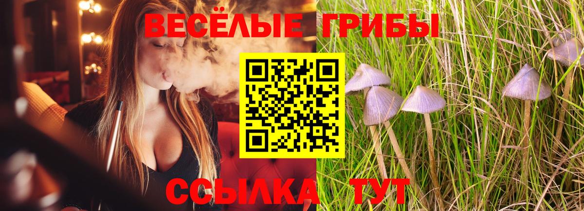 Дзержинский  Псилоцибиновые грибы прущие грибы  Вход с VPN 