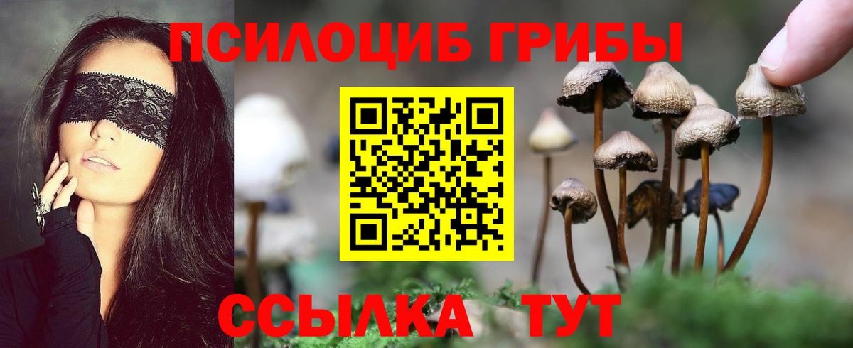 Галлюциногенные грибы Psilocybine cubensis  Дзержинский  Псилоцибиновые грибы Magic Shrooms 